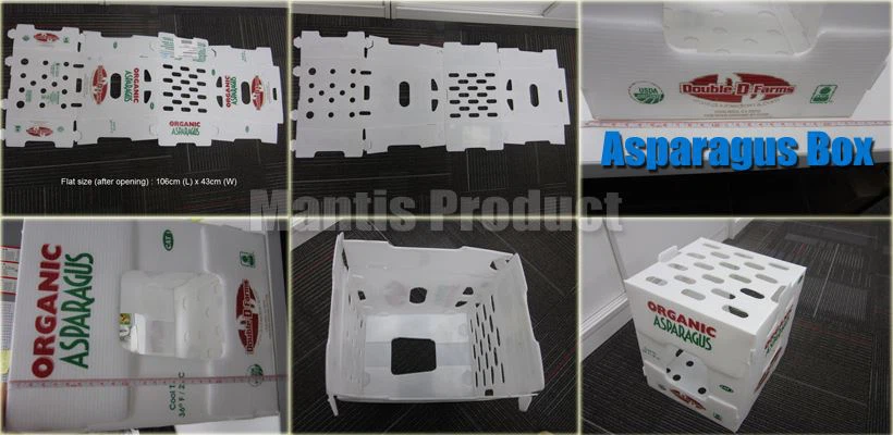 -Prototype details photos