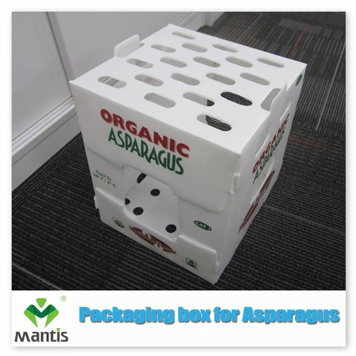 fruit packaging plastic box manufacturer