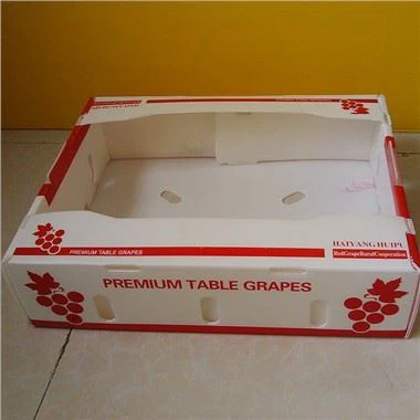 Fruit Packaging Plastic Box