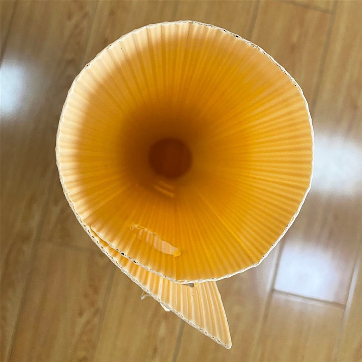 Round PP Corrugated Plastic Tree Guard