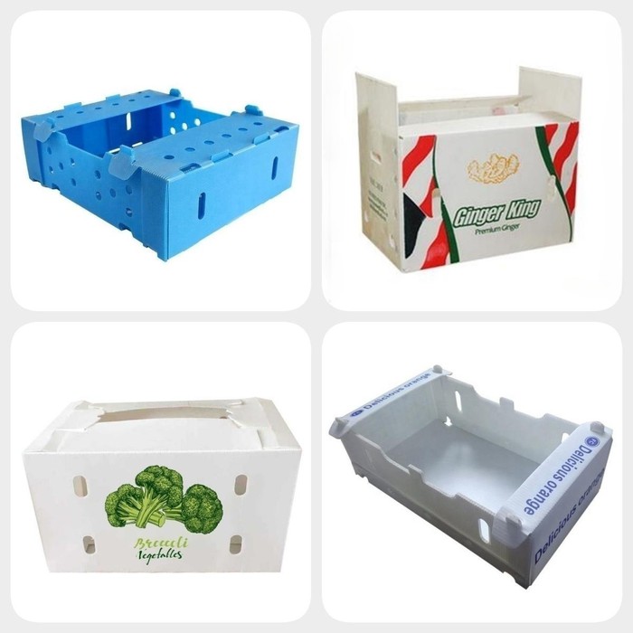 Durable Folding Coroplast Vegetable Boxes Durable Folding Coroplast Vegetable Boxes