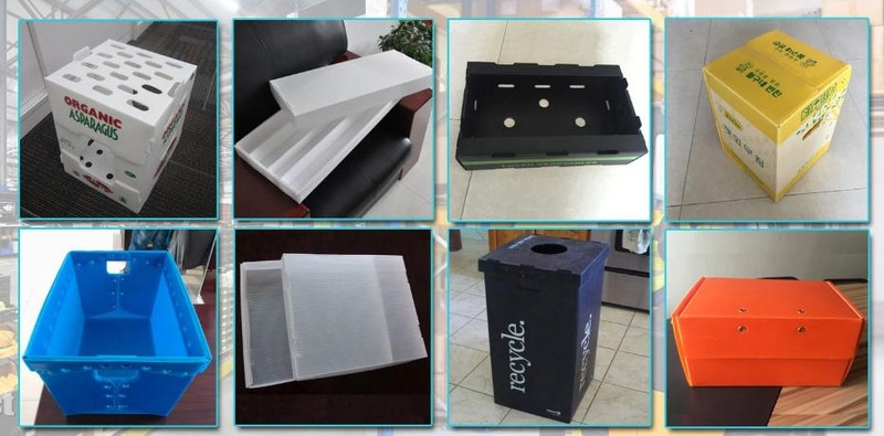 Mantis PP Corrugated Plasric Box 6 Mantis PP Corrugated Plasric Box 6