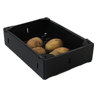 Corrugated Plastic Turnover Vegetable Boxes