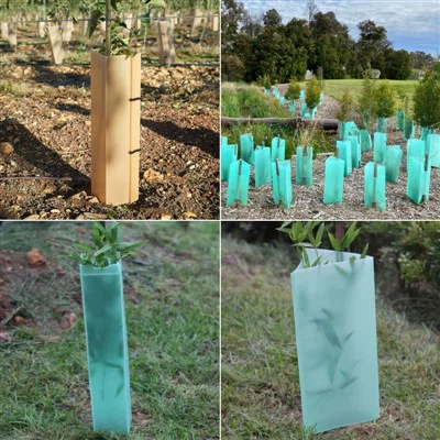 Eco-Friendly PP Plastic Tree Guard