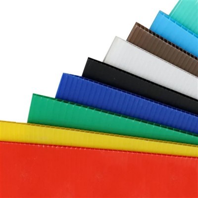 PP Polypropylene Hollow Sheet