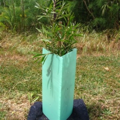 PP Tree Guard